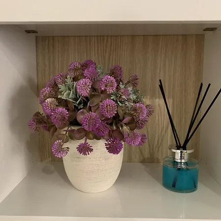 Xenia 度假居